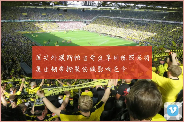 国安外援斯帕吉奇分享训练照或将复出韧带撕裂伤缺影响至今