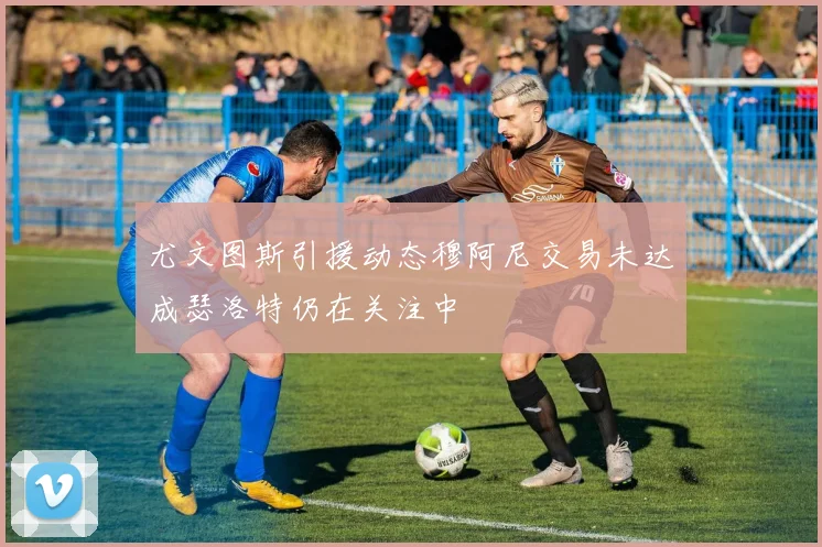 尤文图斯引援动态穆阿尼交易未达成瑟洛特仍在关注中